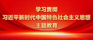 大几把操我骚逼视频学习贯彻习近平新时代中国特色社会主义思想主题教育_fororder_ad-371X160(2)